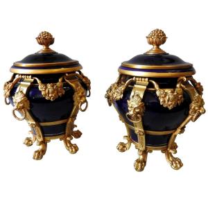 Pair Of Sèvres Style Porcelain Covered Urns