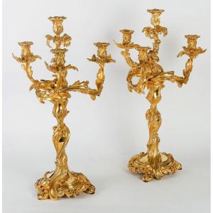 Paire d'Importants Candélabres En Bronze Doré Style Louis XV 