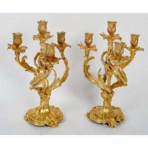 Paire De Candélabres Rocaille En Bronze Doré Style Louis XV