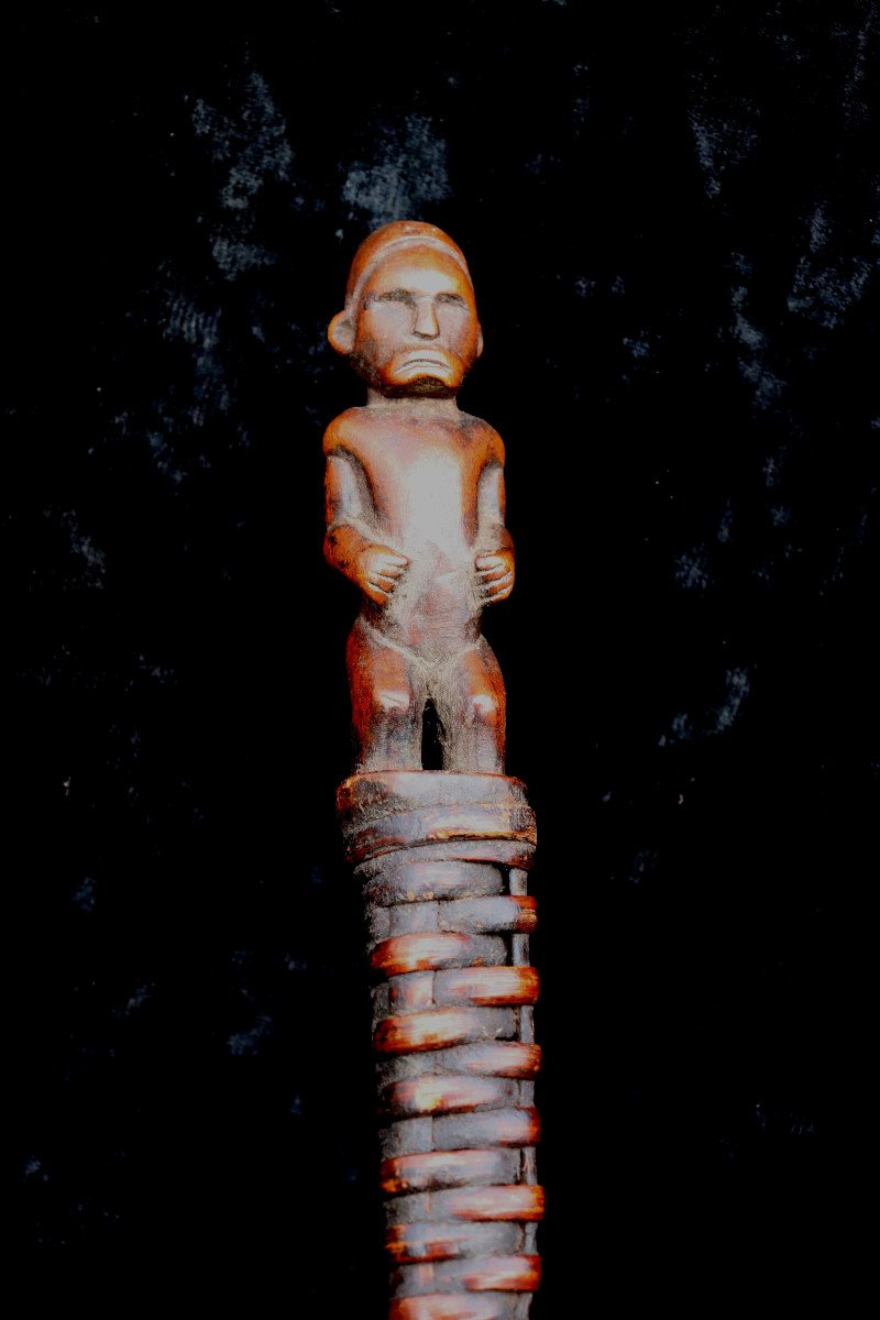 Punu (gabon) : "snake With Sculpted Handle"-photo-3