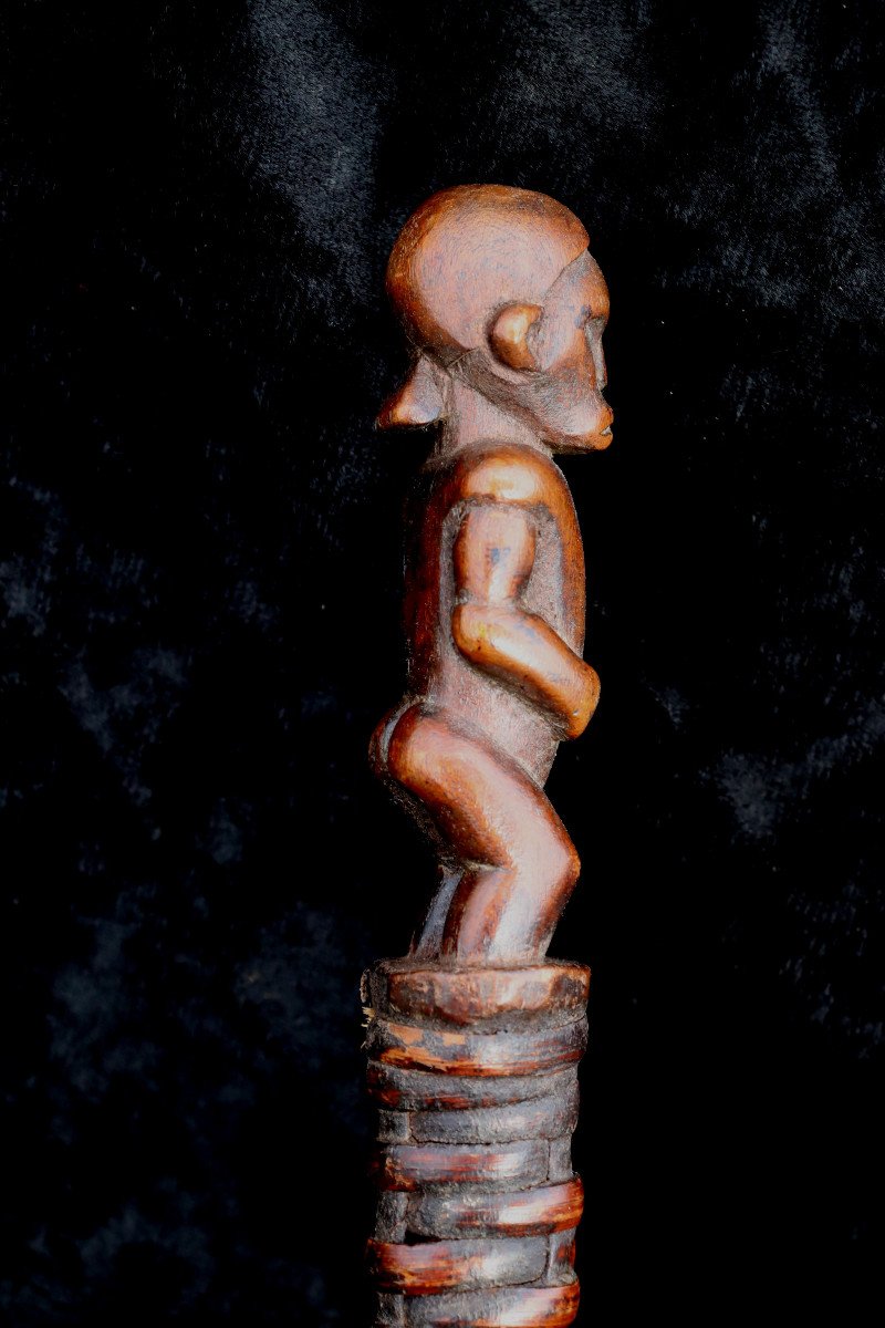 Punu (gabon) : "snake With Sculpted Handle"-photo-4