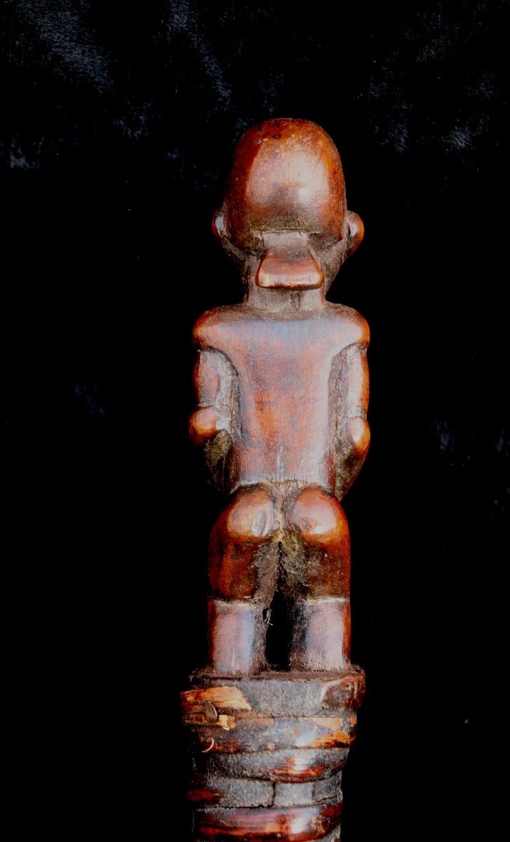 Punu (gabon) : "snake With Sculpted Handle"-photo-1