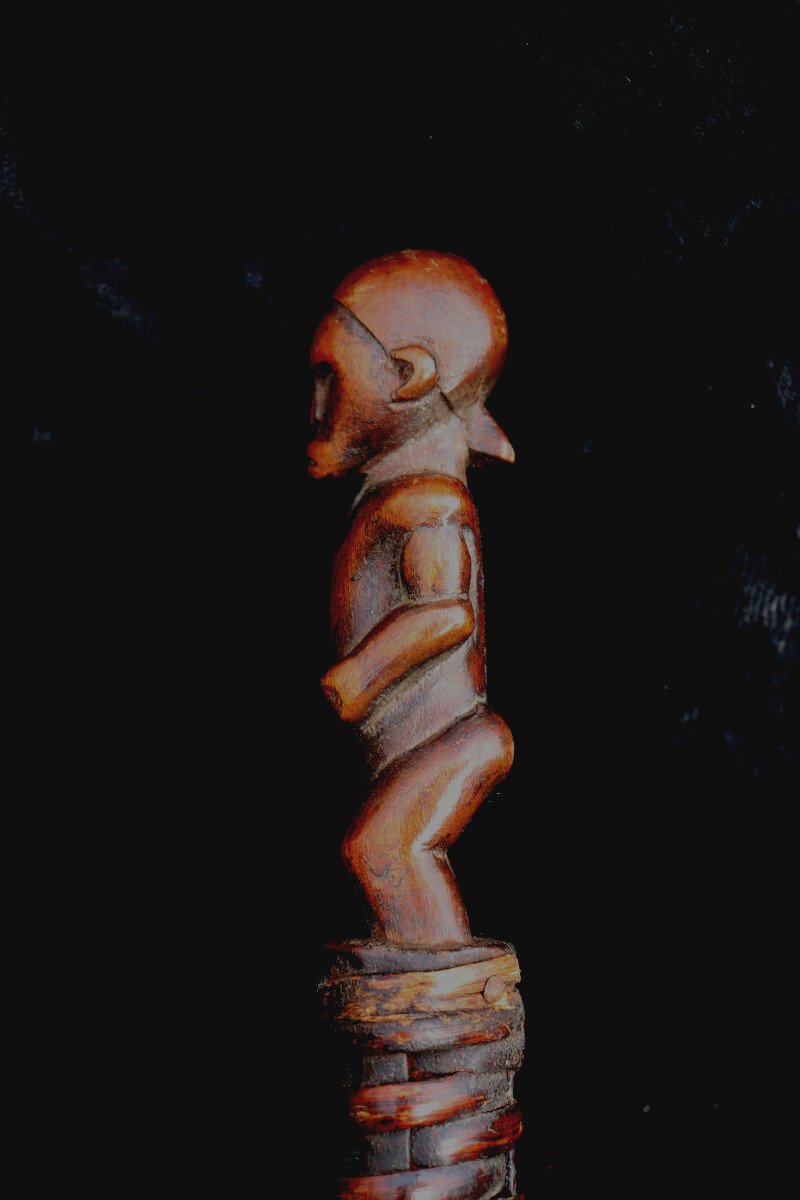 Punu (gabon) : "snake With Sculpted Handle"-photo-2