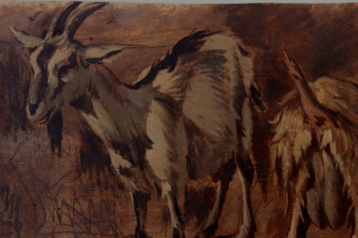 Italian School Of The 17th Century : “goat Studies”-photo-3