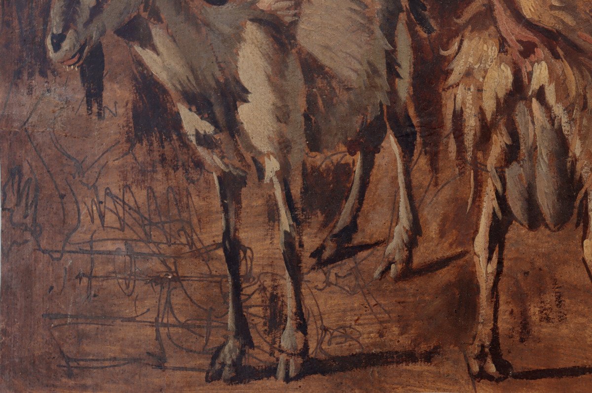 Italian School Of The 17th Century : “goat Studies”-photo-1