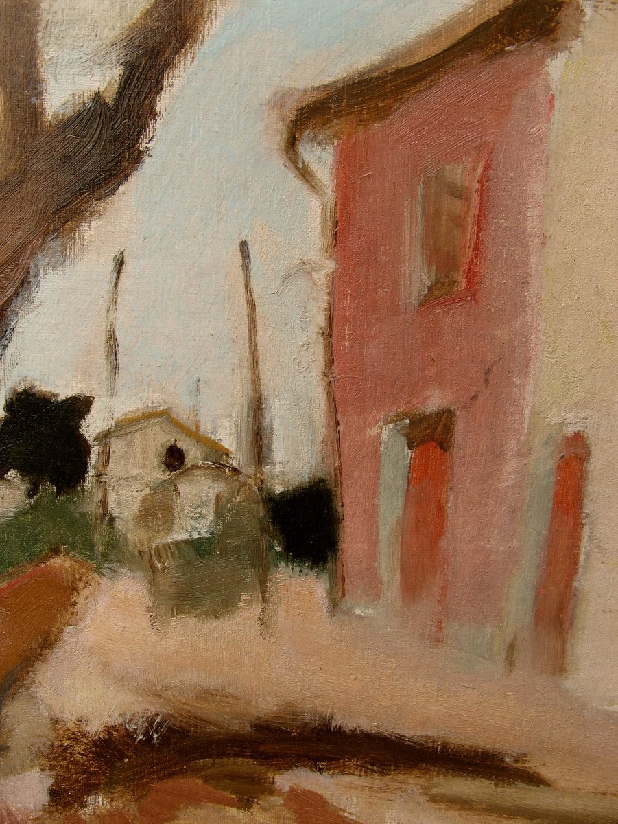 RAOUL BERGOUGNAN : "LA MAISON ROSE"-photo-2