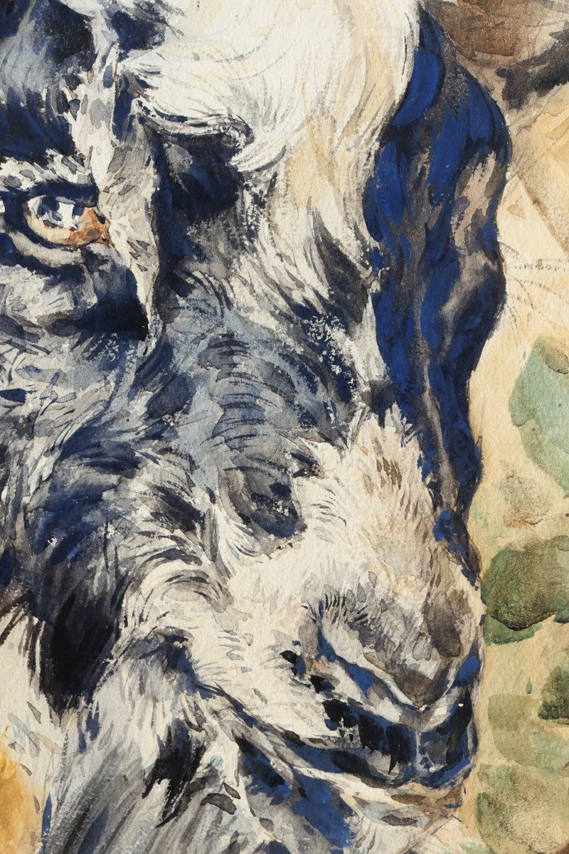 CHARLES TOCHE : "TRES GRANDE AQUARELLE LE BOUC"-photo-4
