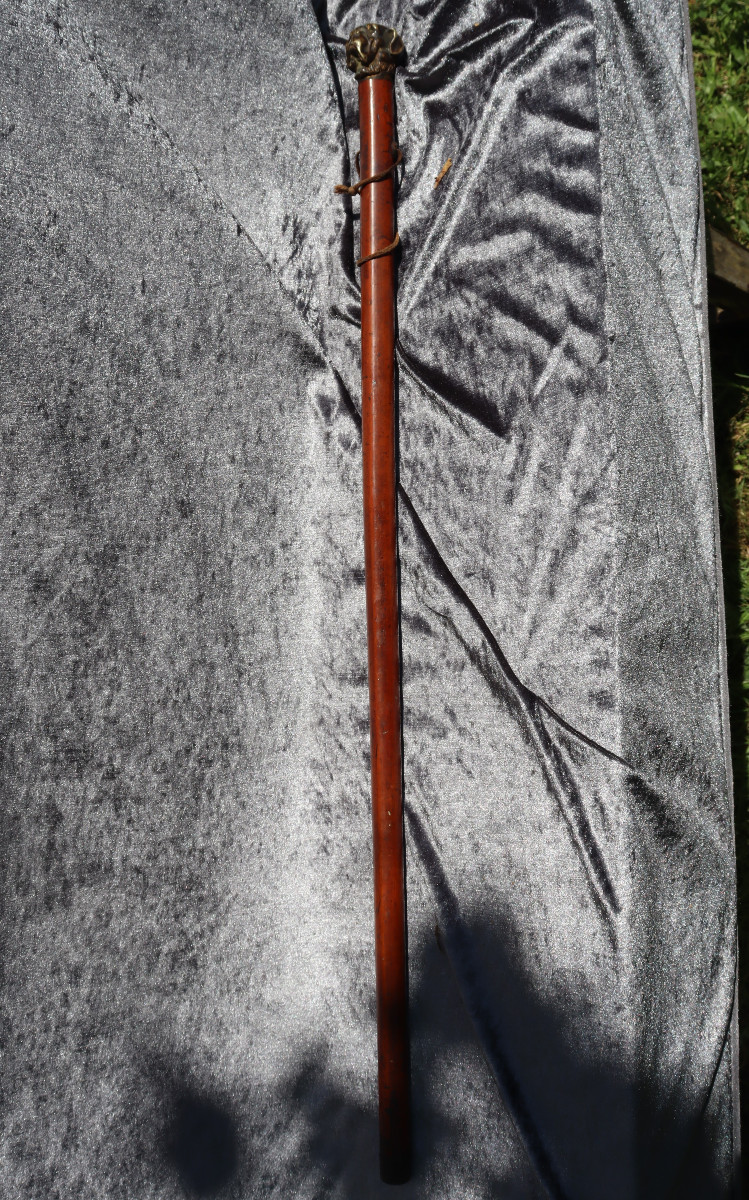 Strong Cane With Dandy Handle : "the Bulldog"-photo-1