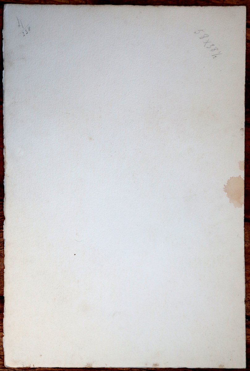 Blanche Odin : "bouquet Of Delphiniums And Peonies"-photo-2