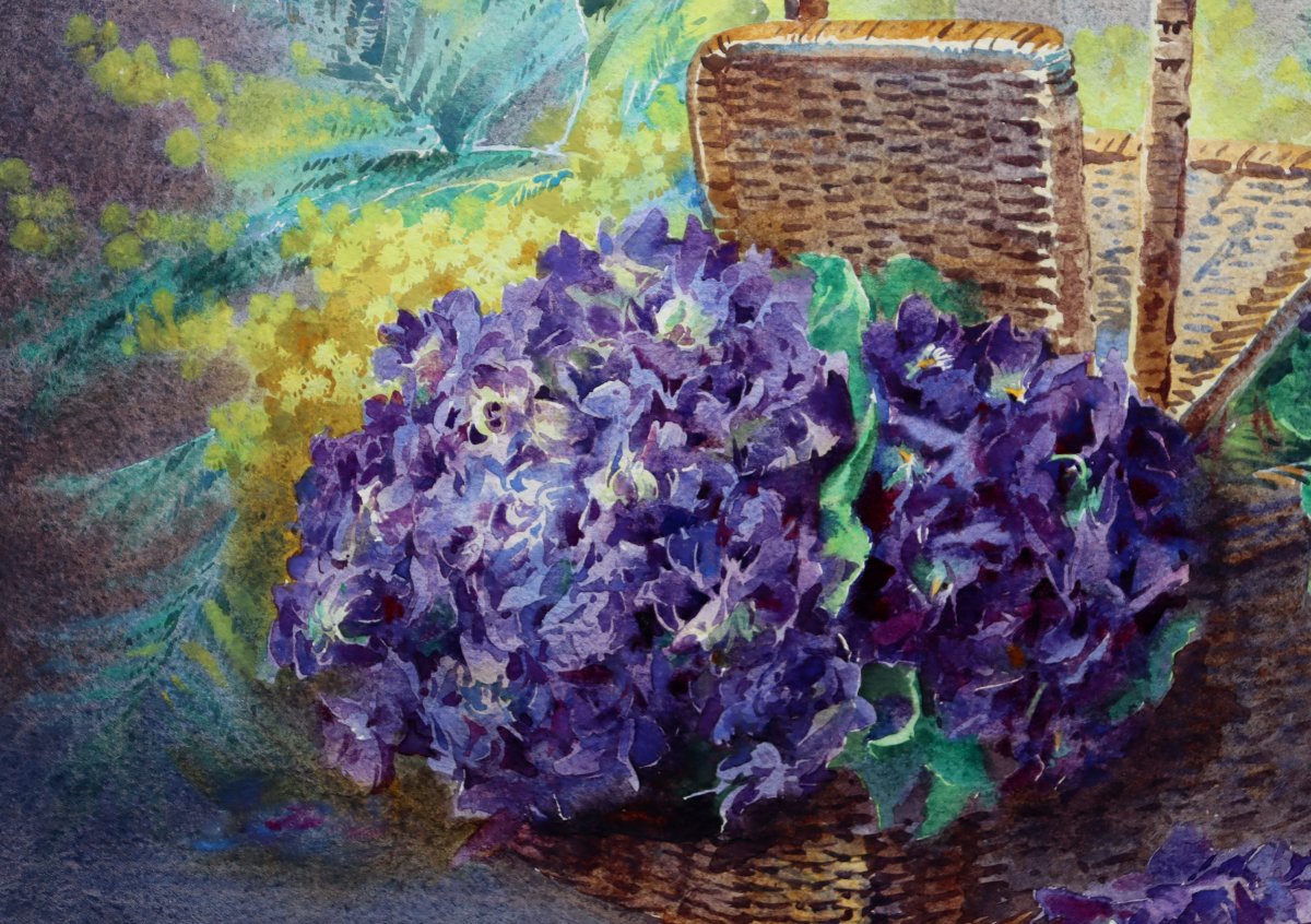 BLANCHE ODIN : "GRANDE AQUARELLE VIOLETTES ET MIMOSA"-photo-3