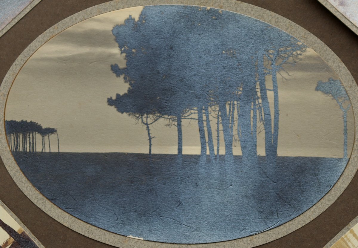 French School Circa 1920 : "album Page With Photos Of The Landes"-photo-2