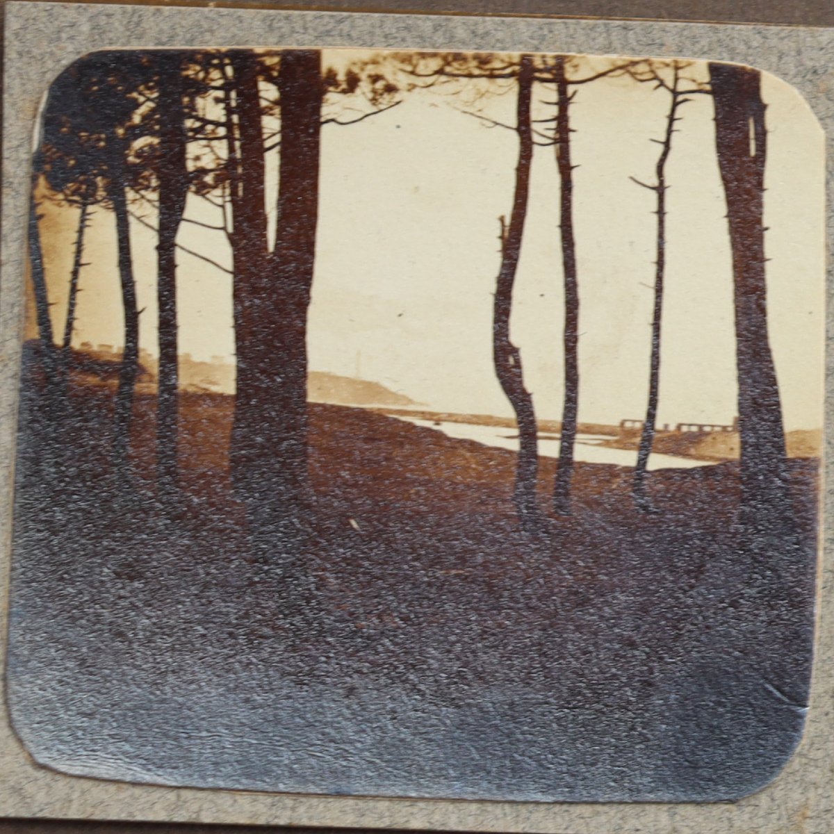 French School Circa 1920 : "album Page With Photos Of The Landes"-photo-1