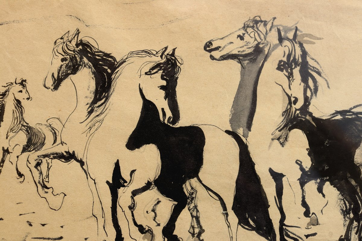 Conti : "horses Ii" -photo-4