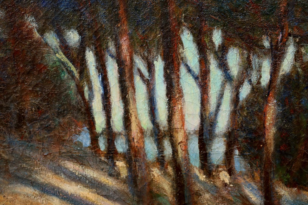 Elie Henri Dumont : "by A Pond In The Landes" -photo-2
