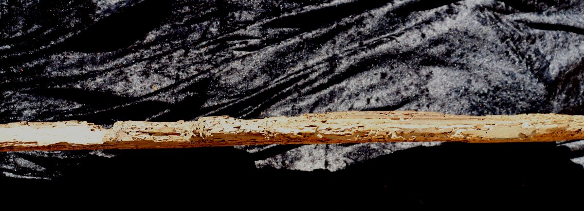 France, 17th Century Or Earlier : “carved Chest Front”-photo-3
