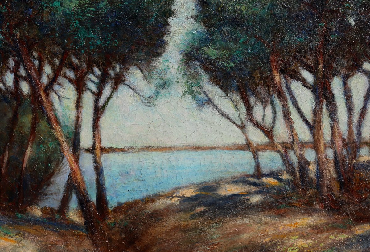 ELIE HENRI DUMONT : grand tableau "BORD D'ETANG DANS LES LANDES" -photo-4