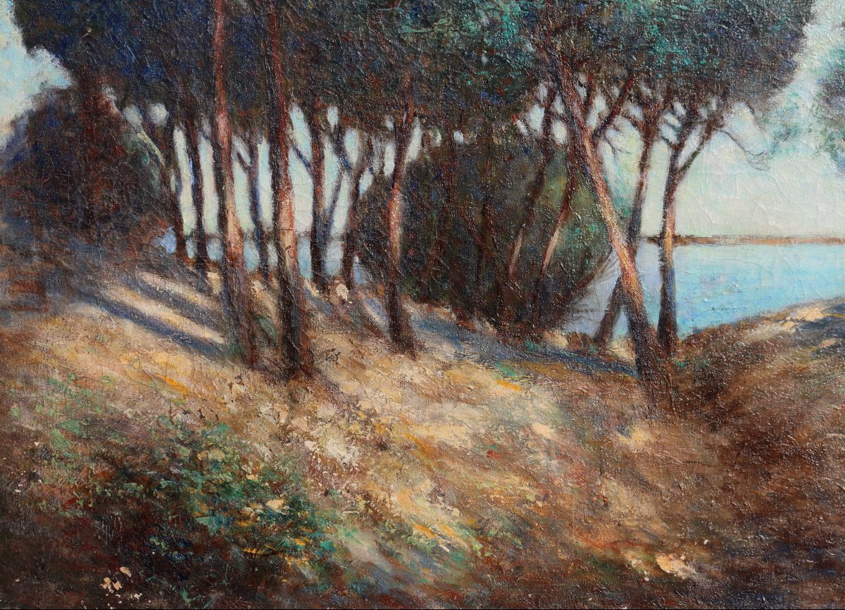 ELIE HENRI DUMONT : grand tableau "BORD D'ETANG DANS LES LANDES" -photo-2
