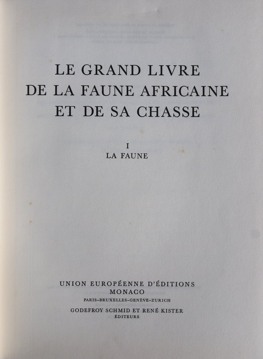 "the Comprehensive Guide To African Wildlife And Hunting"-photo-3