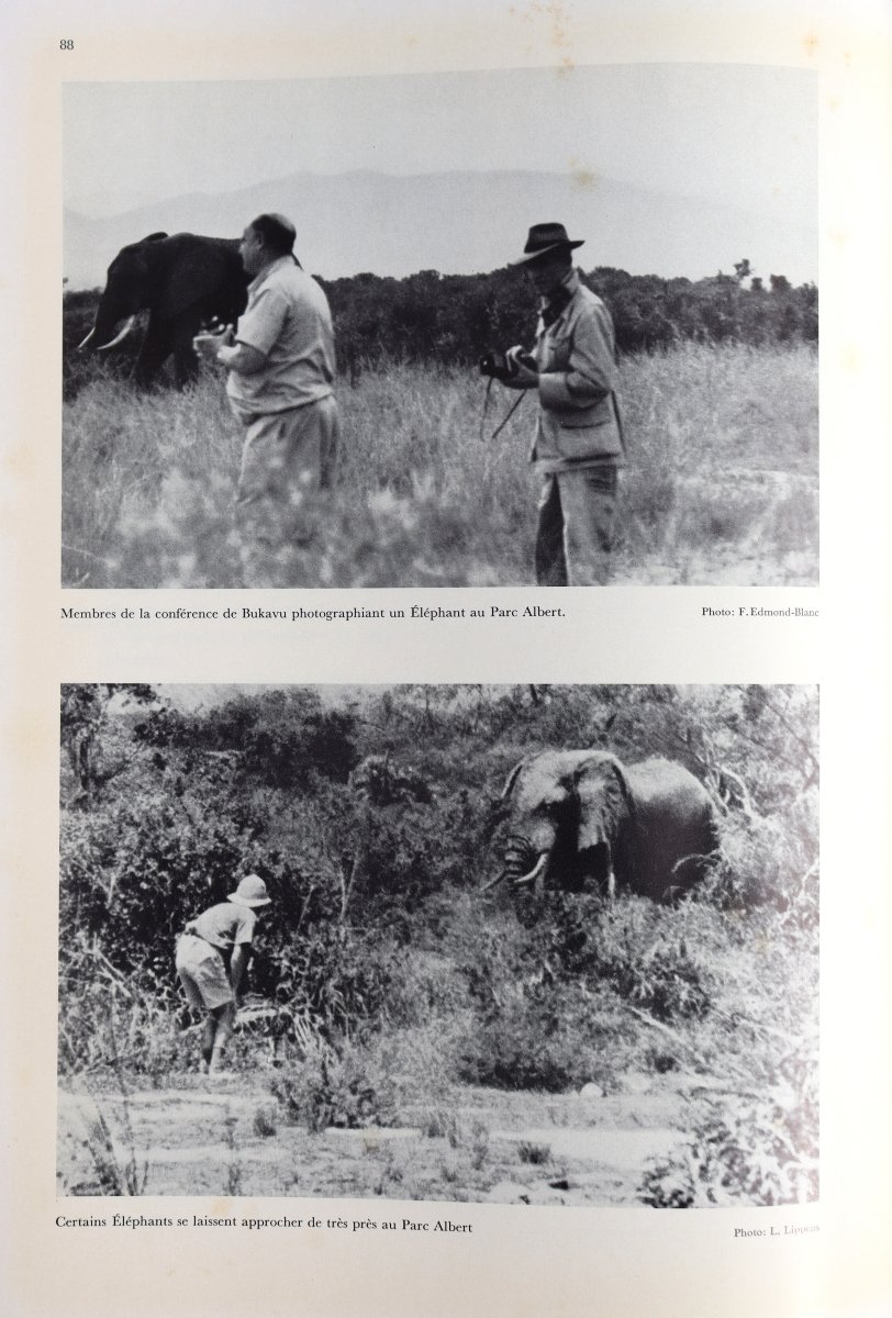 "the Comprehensive Guide To African Wildlife And Hunting"-photo-1