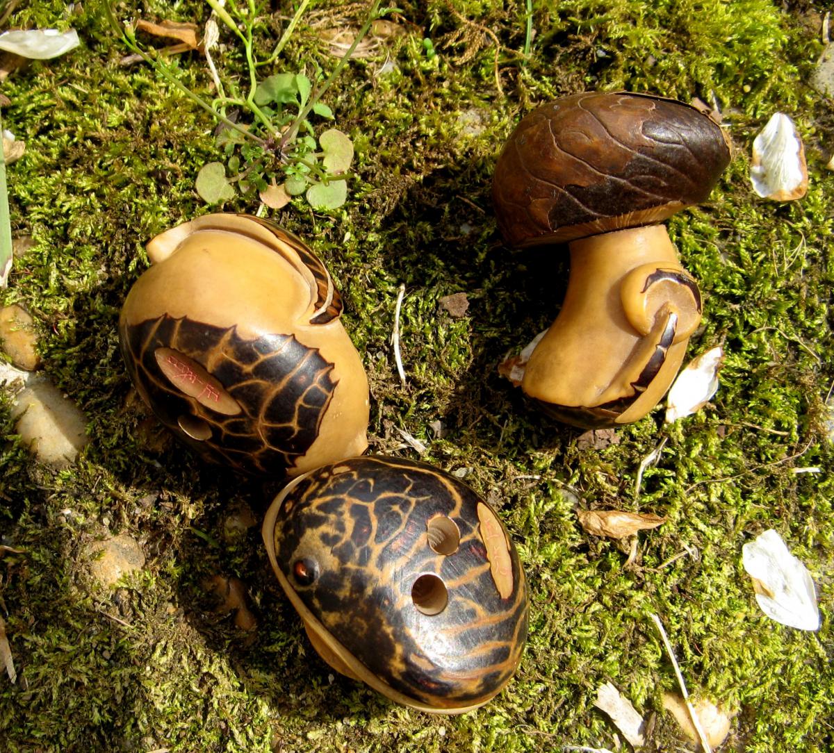 TROIS NETSUKES SCULPTES EN COROZO CHAMPIGNONS, FRUIT-photo-3