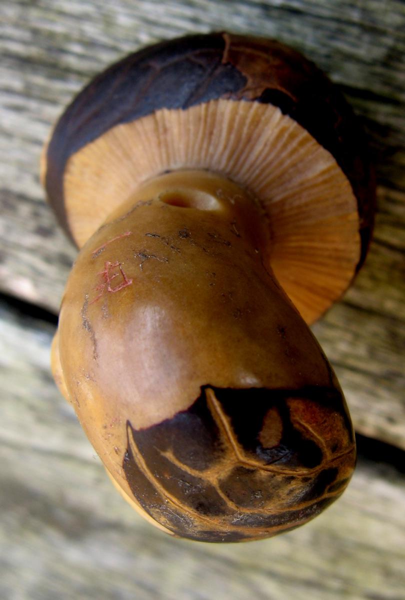 TROIS NETSUKES SCULPTES EN COROZO CHAMPIGNONS, FRUIT-photo-7