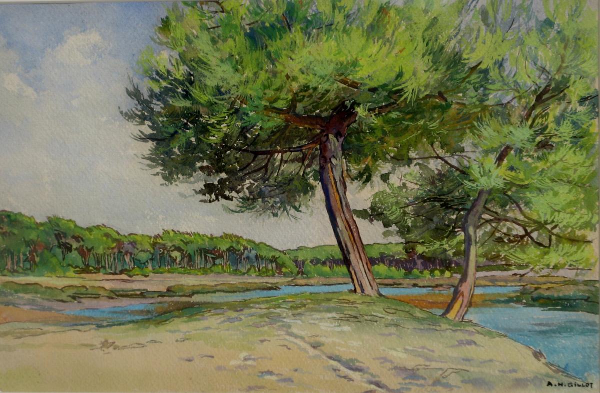 Adrien-henri Gillot : Lake At Mimizan