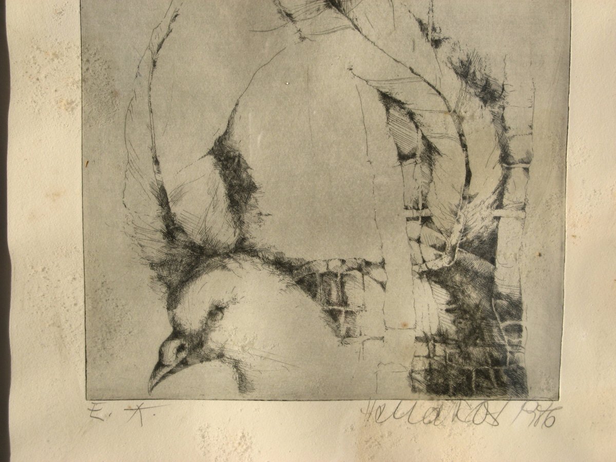 Hella Rost : Surrealist Engraving "the Dove"-photo-3