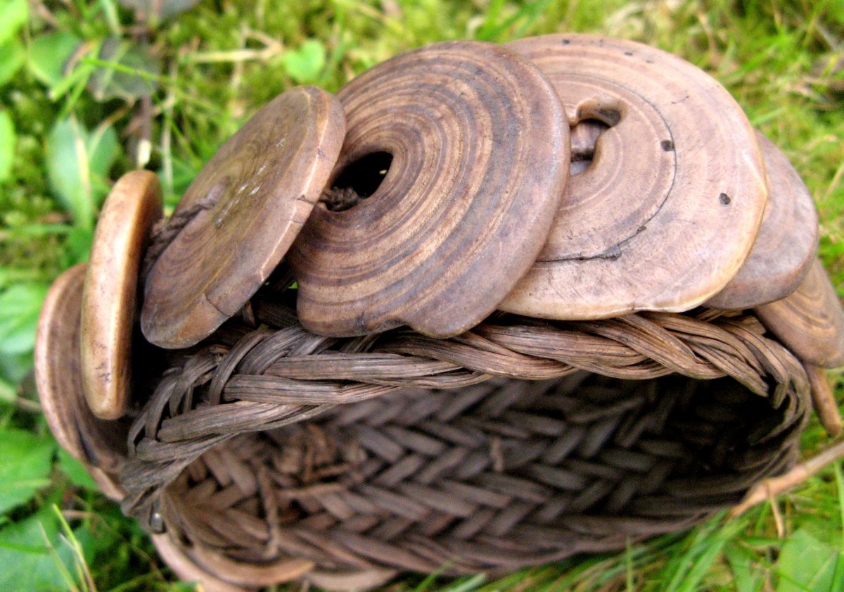 Papousasia-new Guinea : "shell Bangle"-photo-2