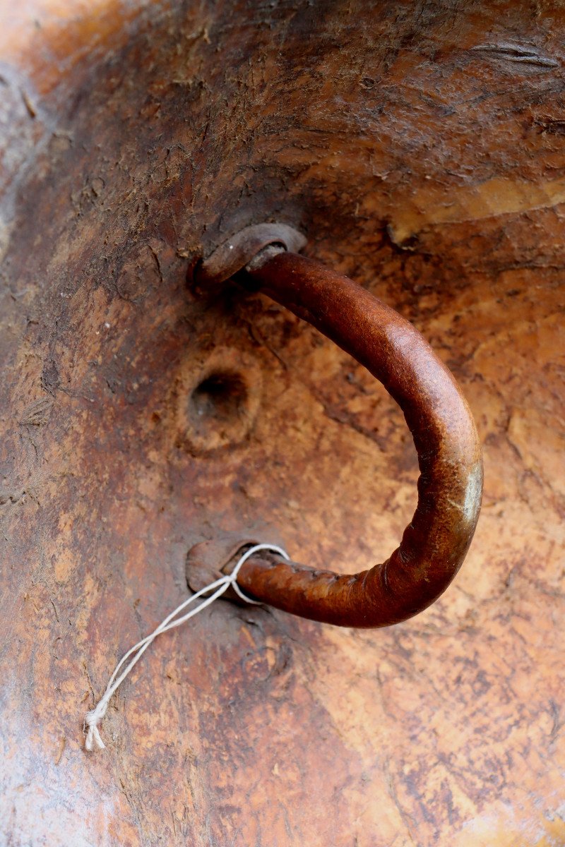 Rare GÃschÃn Somali Shield-photo-4