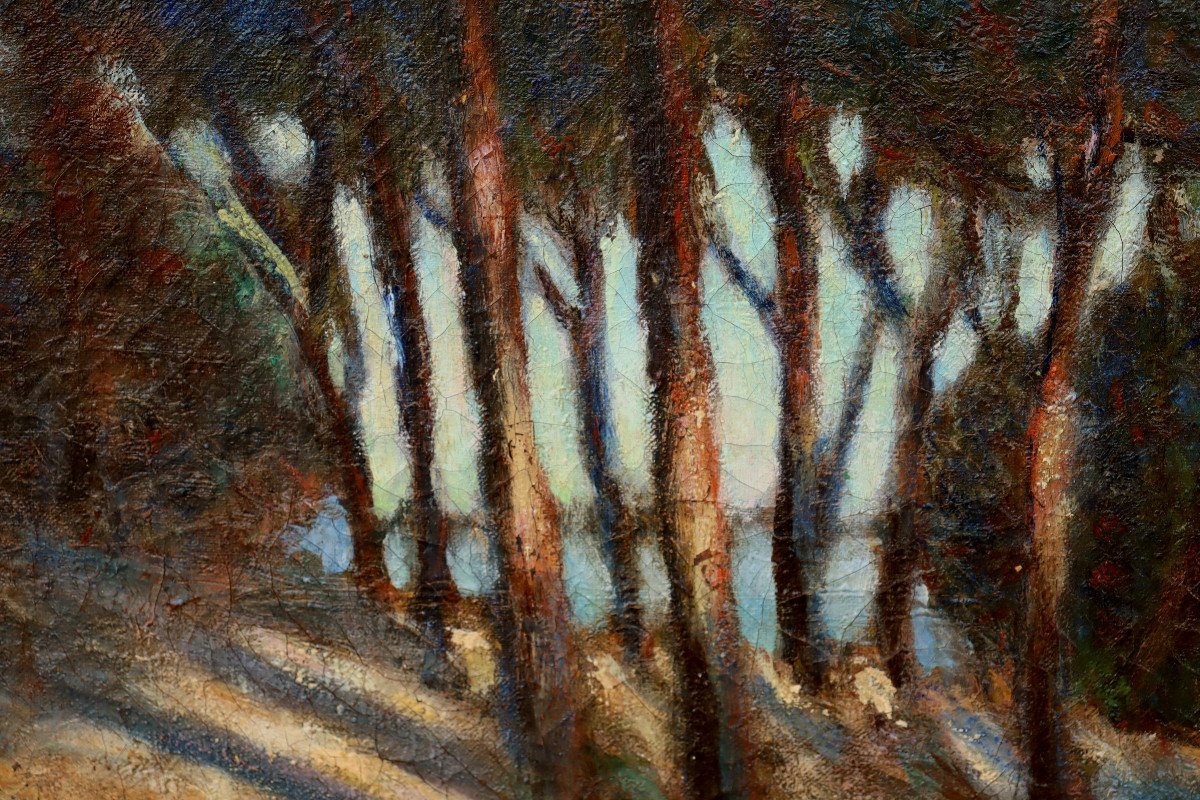 Elie Henri Dumont : "edge Of A Pond In The Landes"-photo-3