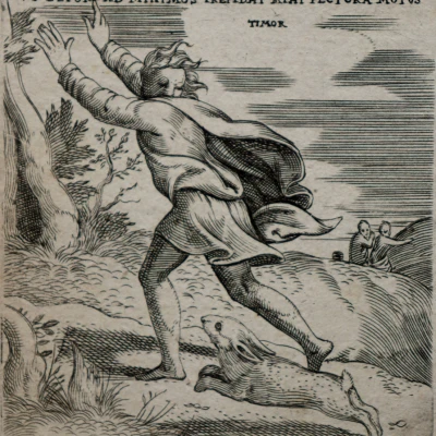 Premiere-Image-1736745