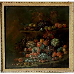 William Sartorius : Huge “still Life With Fruits 1739”