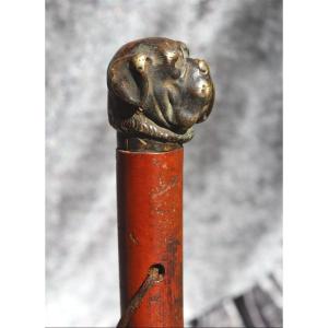 Strong Cane With Dandy Handle : "the Bulldog"