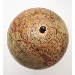 Terrestrial Globe By Forest