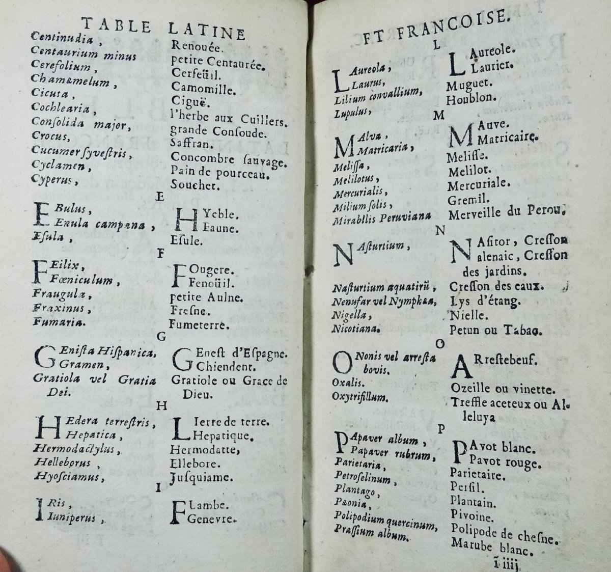 Dubé - The Doctor Of The Poor, Who Teaches How To Cure The Sick. 1683.-photo-6