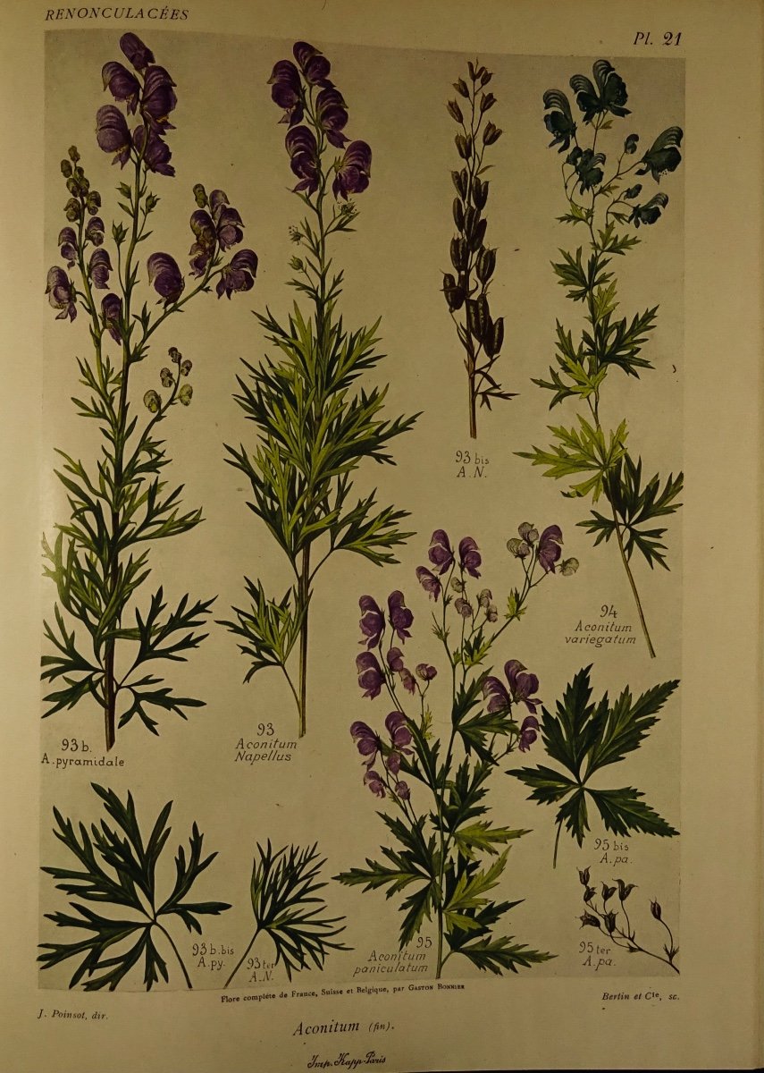 Bonnier And Douin - Complete Flora Illustrated In Colors Of France, Switzerland And Belgium. 1934.-photo-2
