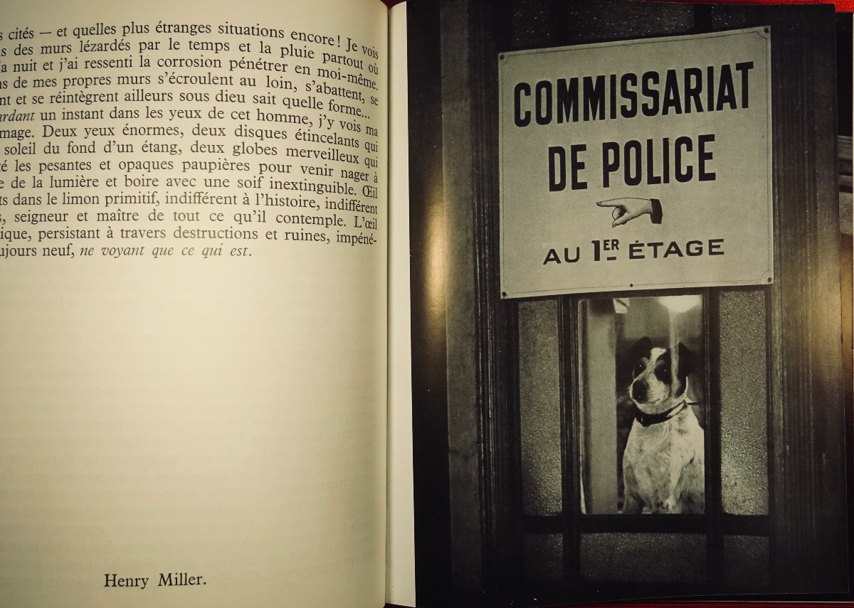[PHOTOGRAPHIE] - BRASSAÏ - Brassaï. Éditions du Pont Neuf, 1952. Avec un envoi de Brassaï.-photo-4