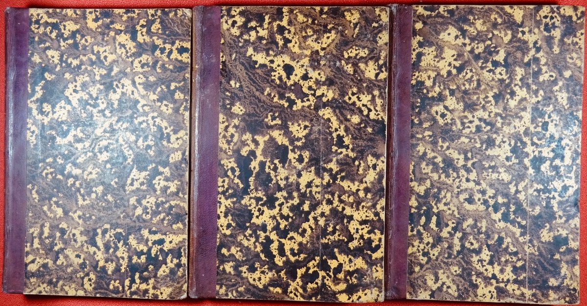 VULLIET (Adam) - Esquisse d'une nouvelle géographie physique. 1855, 3 volumes bien reliés.-photo-2