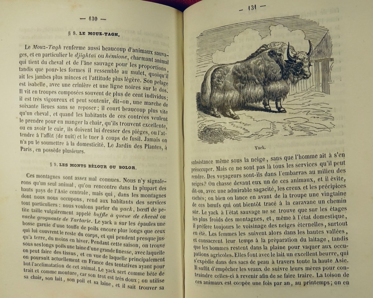 VULLIET (Adam) - Esquisse d'une nouvelle géographie physique. 1855, 3 volumes bien reliés.-photo-2