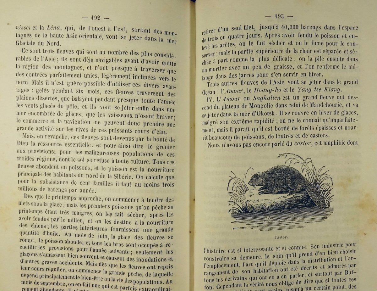VULLIET (Adam) - Esquisse d'une nouvelle géographie physique. 1855, 3 volumes bien reliés.-photo-3