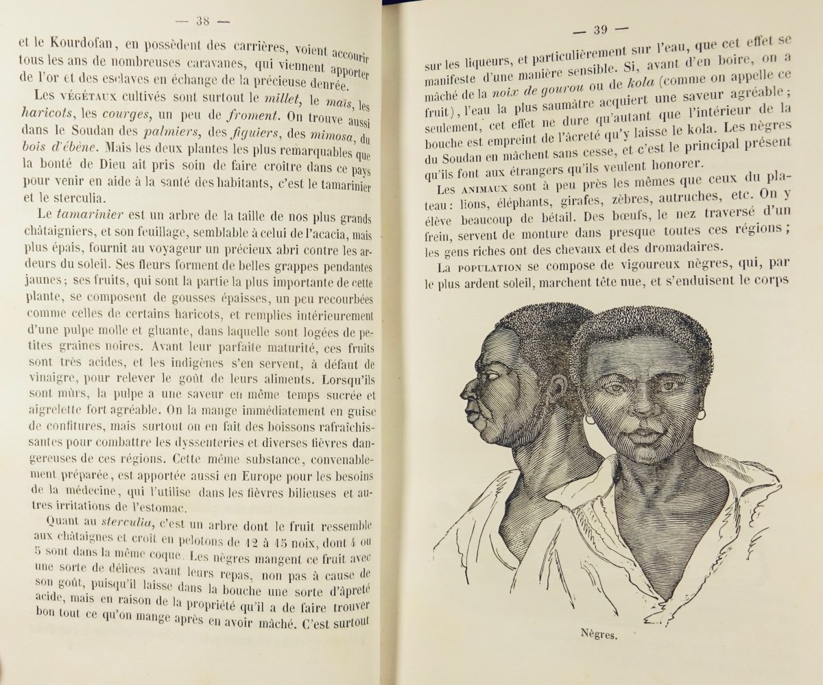 VULLIET (Adam) - Esquisse d'une nouvelle géographie physique. 1855, 3 volumes bien reliés.-photo-5