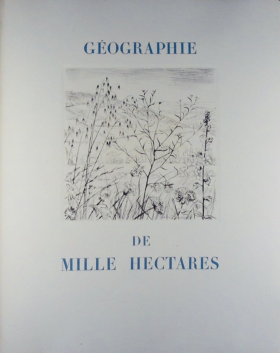 Bedel (mauritius) - Geography Of A Thousand Hectares. 1954, Numbered And Illustrated By Jacquemin.-photo-4