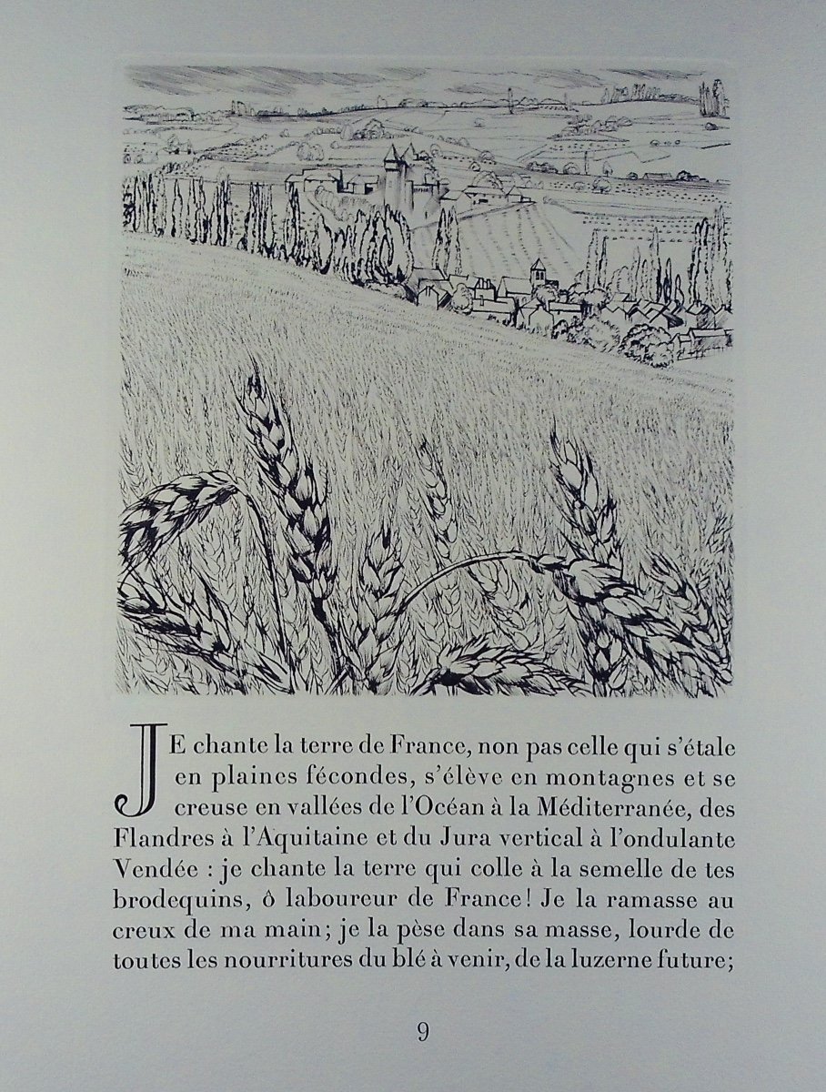 Bedel (mauritius) - Geography Of A Thousand Hectares. 1954, Numbered And Illustrated By Jacquemin.-photo-3
