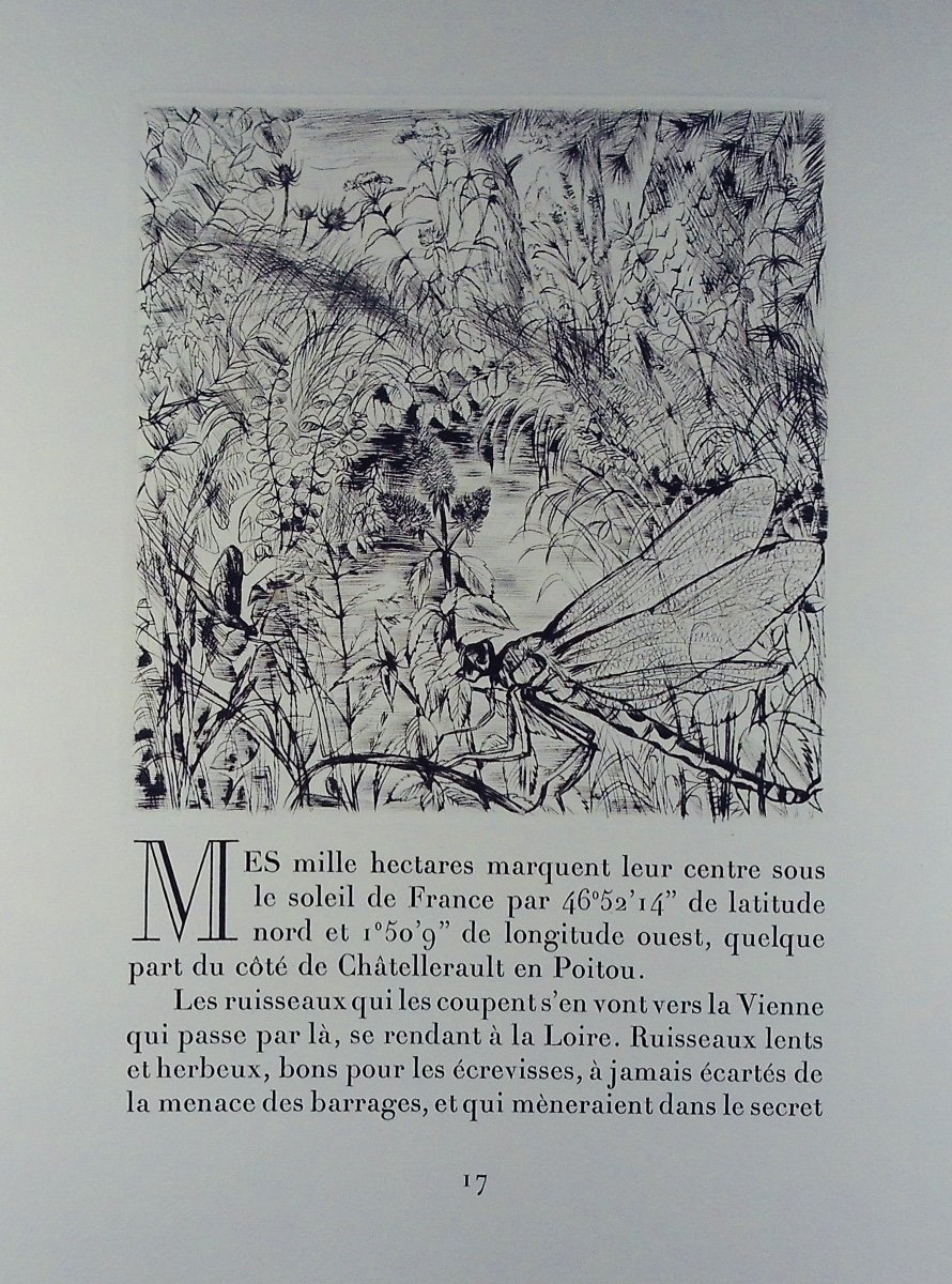 Bedel (mauritius) - Geography Of A Thousand Hectares. 1954, Numbered And Illustrated By Jacquemin.-photo-6