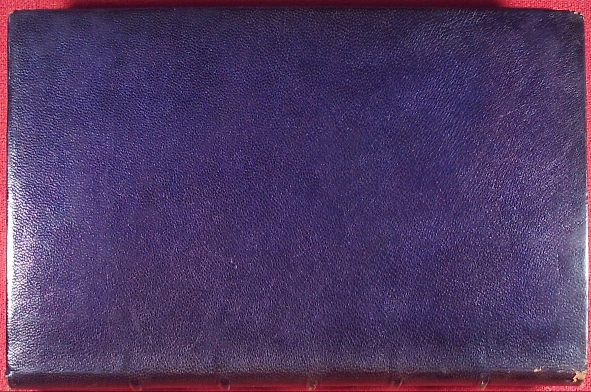 GYP - Petit bleu. Calmann Lévy, 1889, reliure plein maroquin violet signée Bézard.-photo-1