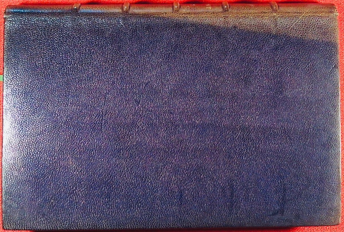 Gyp - From Top To Bottom. Charpentier, 1894, Full Purple Morocco Binding Signed Bézard.-photo-2
