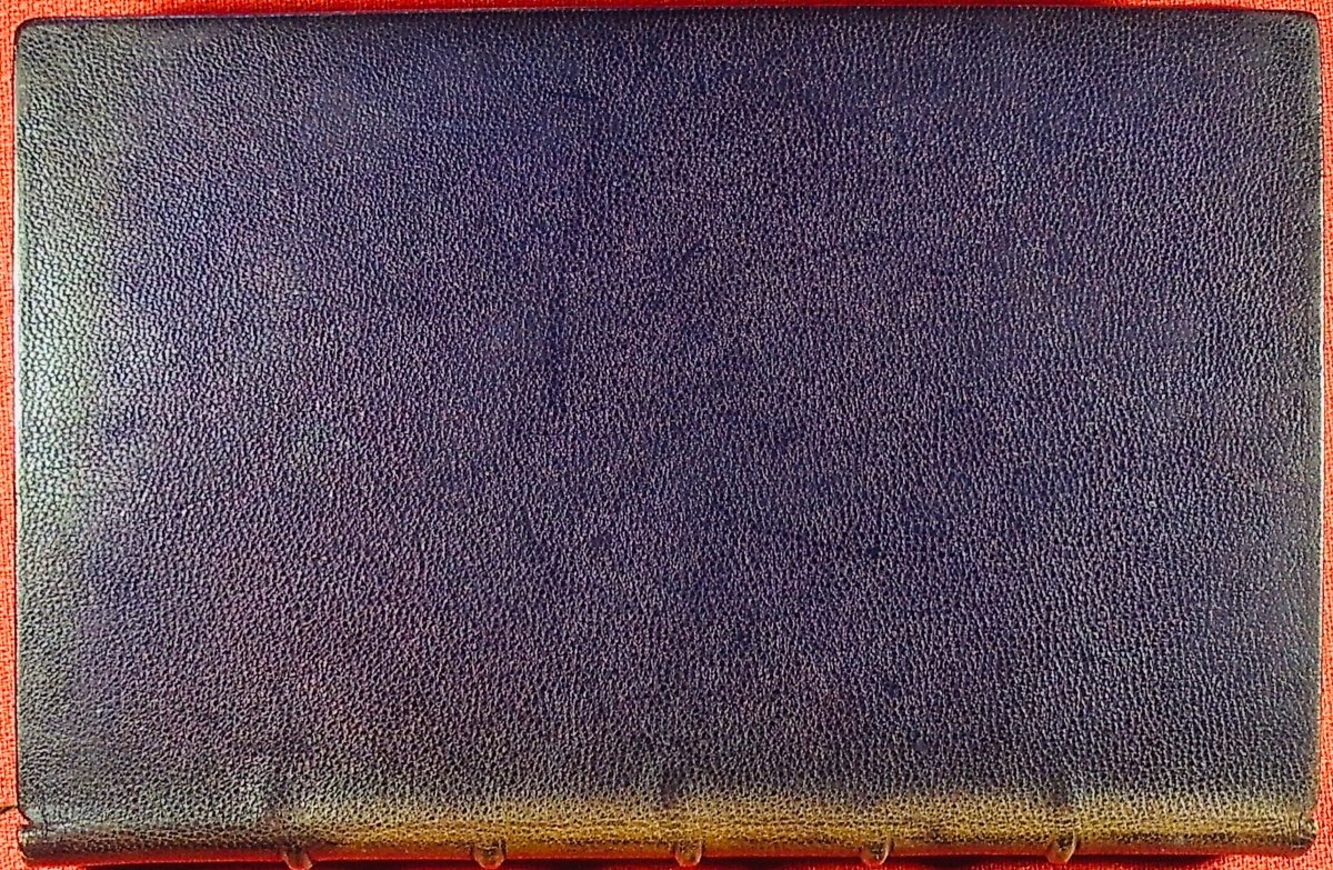GYP - La Paix des champs. F. Juven, 1900, reliure plein maroquin violet signée Bézard.-photo-8