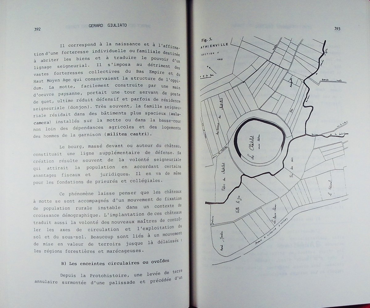 XXVth International Congress Of Geography In Paris. Nancy Symposium, 1984. Paperback.-photo-8