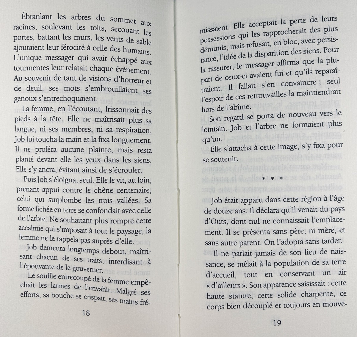 Chedid (andrée) - Job's Wife. Maren Sell / Calmann-lévy, 1993, Sent By The Author.-photo-4
