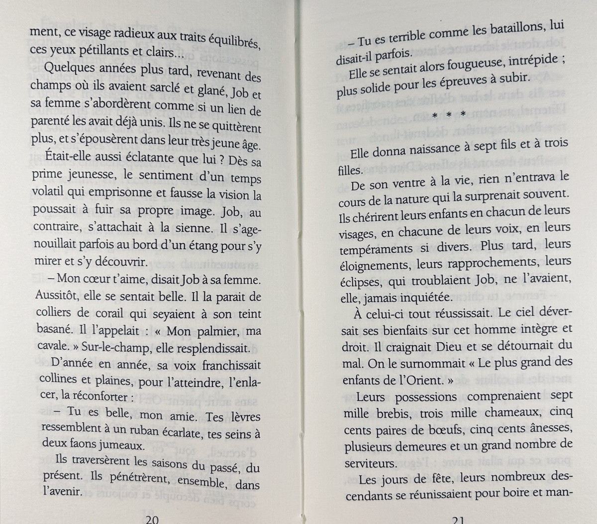 Chedid (andrée) - Job's Wife. Maren Sell / Calmann-lévy, 1993, Sent By The Author.-photo-5